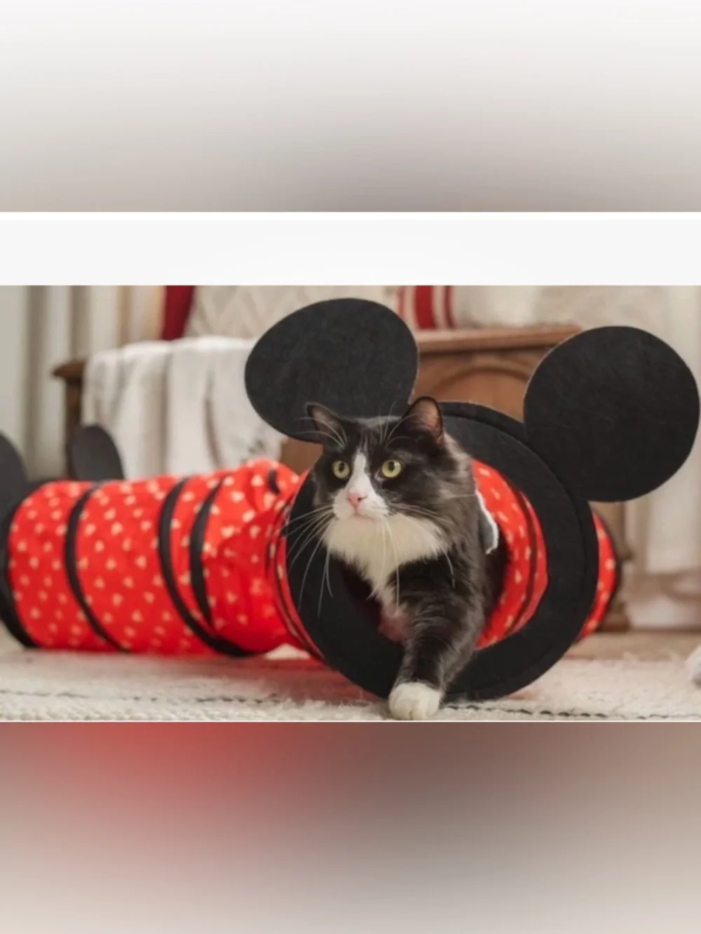 Disney Mickey Mouse Pop Open Three Way Cat Tunnel Play Toy Mat Harry Barker New