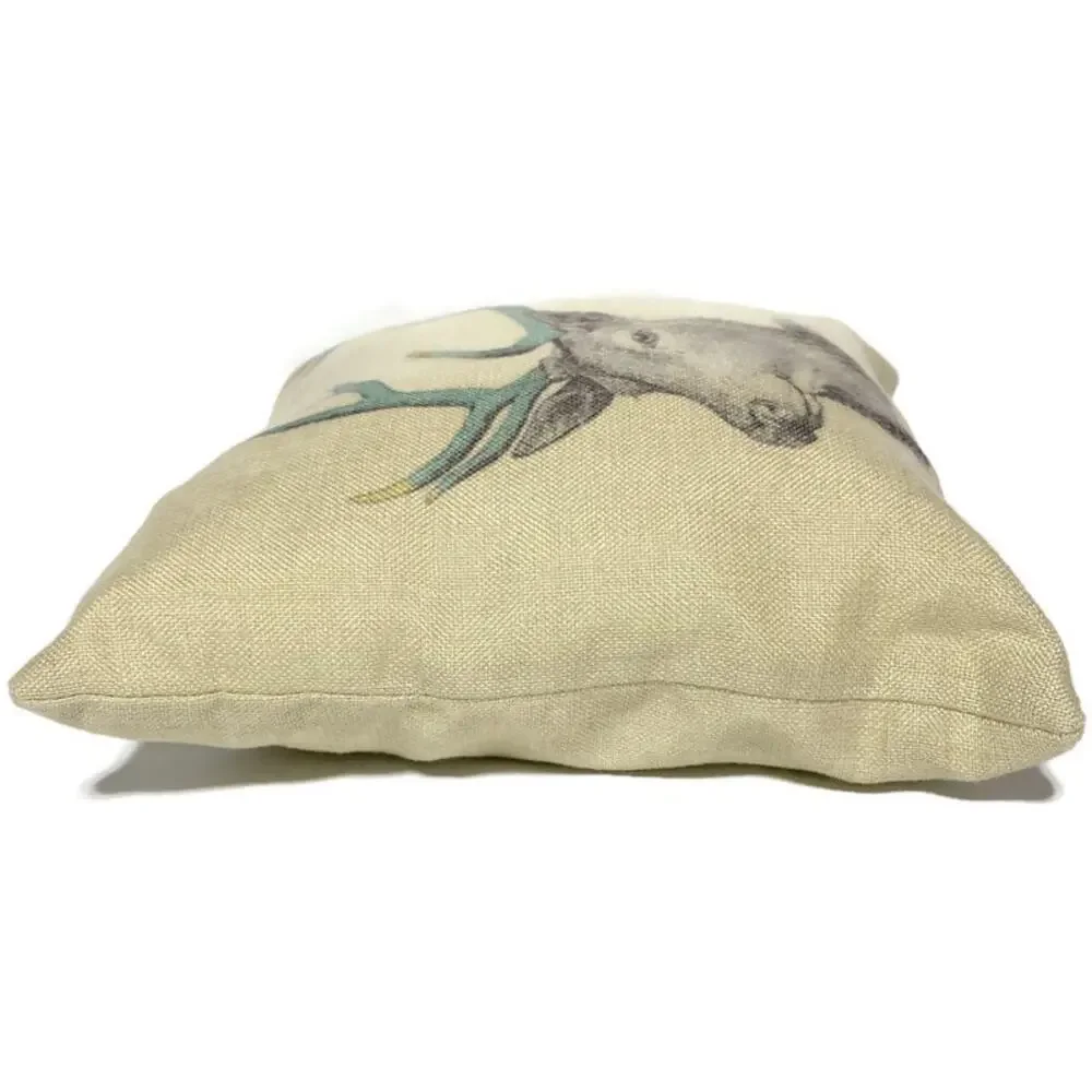 Unbranded accent throw