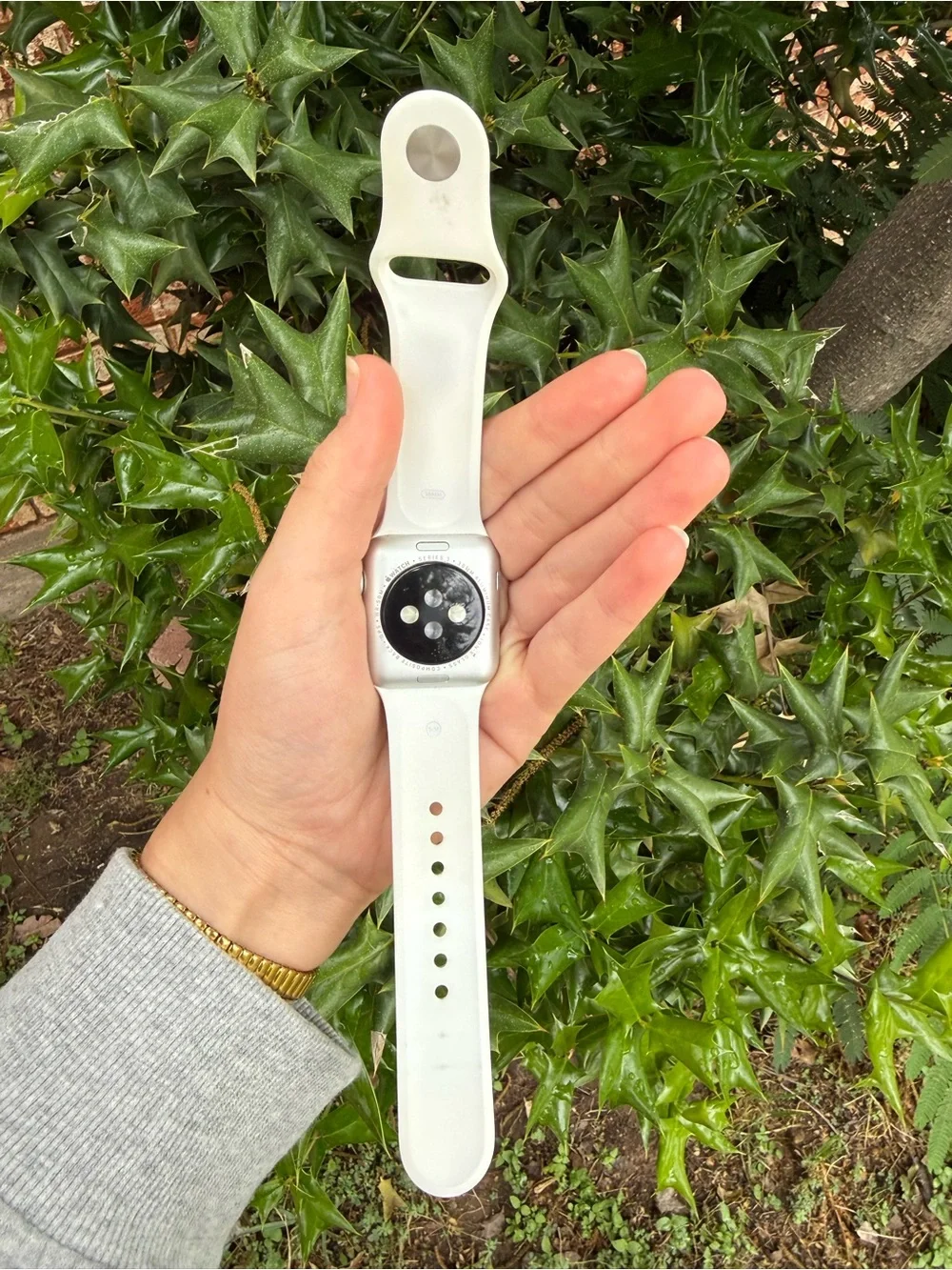 Apple sports just