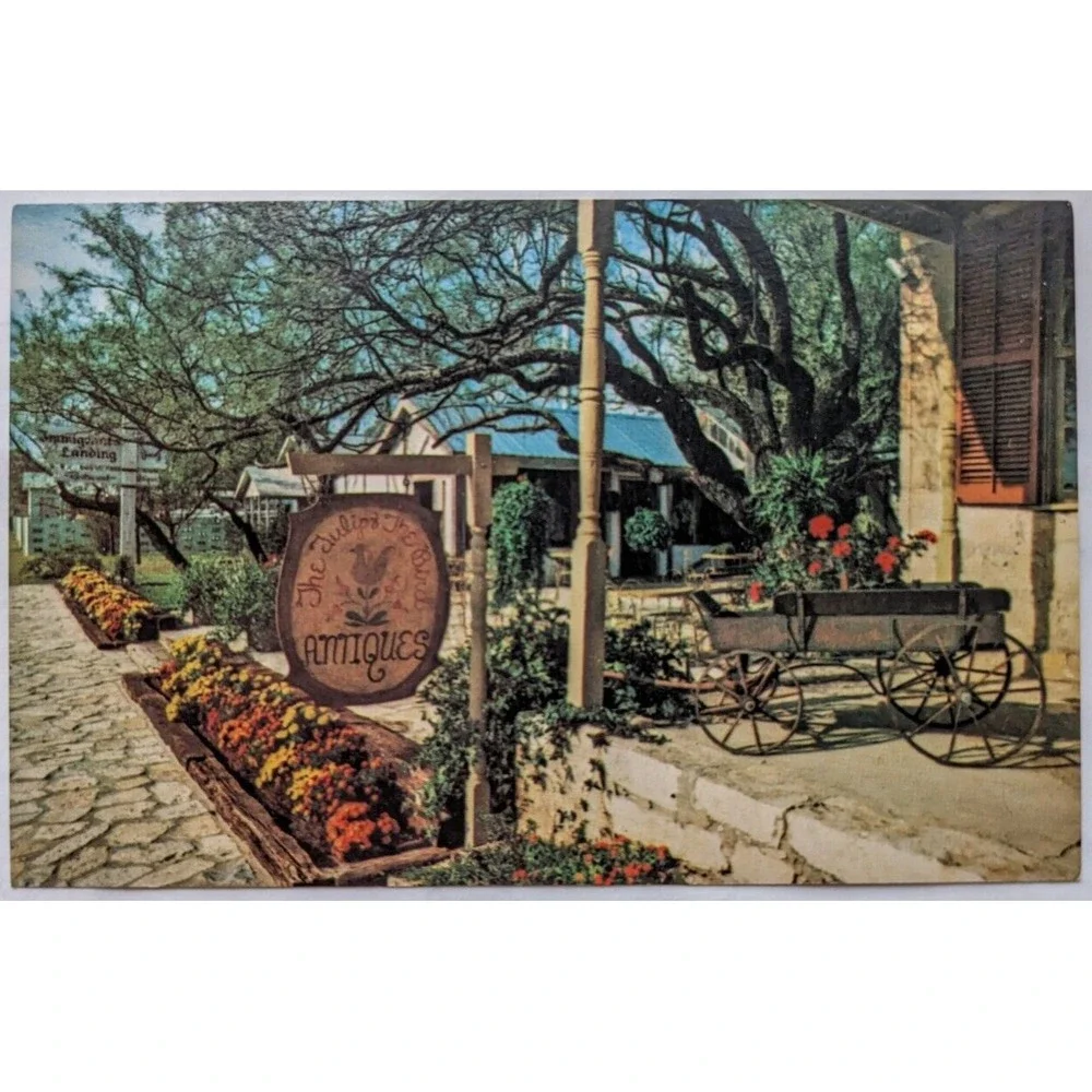 Fredericksburg TX-Texas,‎ The Tulip & The Bird Antique Store, Vintage Postcard