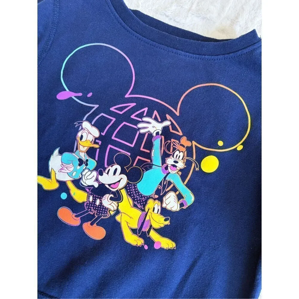 Disney Epcot Sweater Size XS