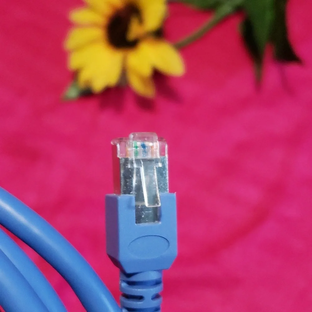 (no brand) cat 5e