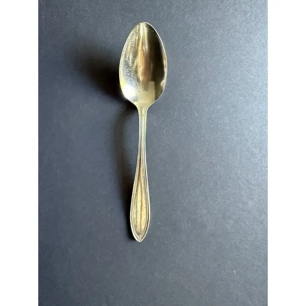 Vintage Oneida Community Puritan Plate Silverplate Spoon - Milady Beaded Pattern