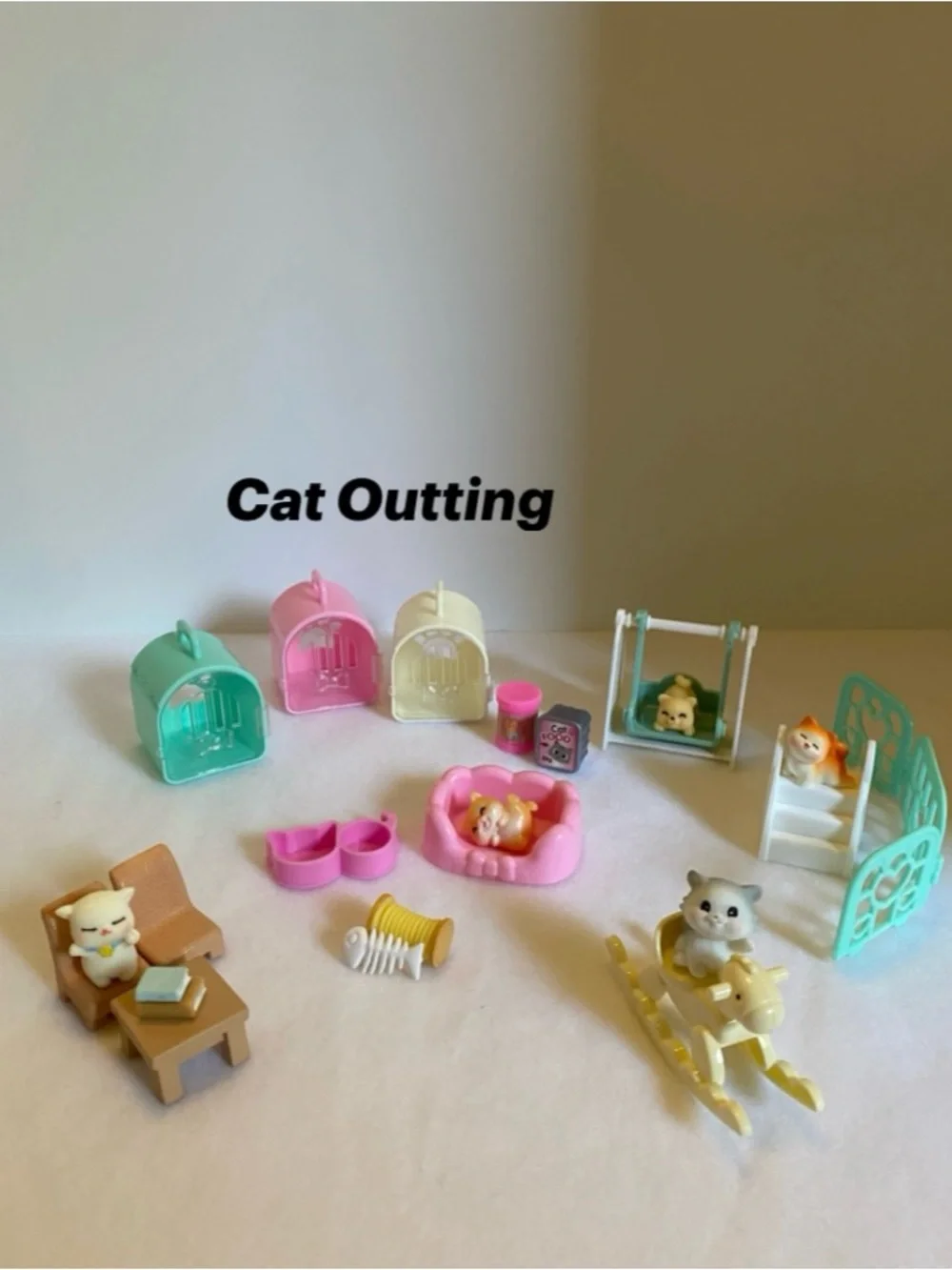 Cat Outting Playset