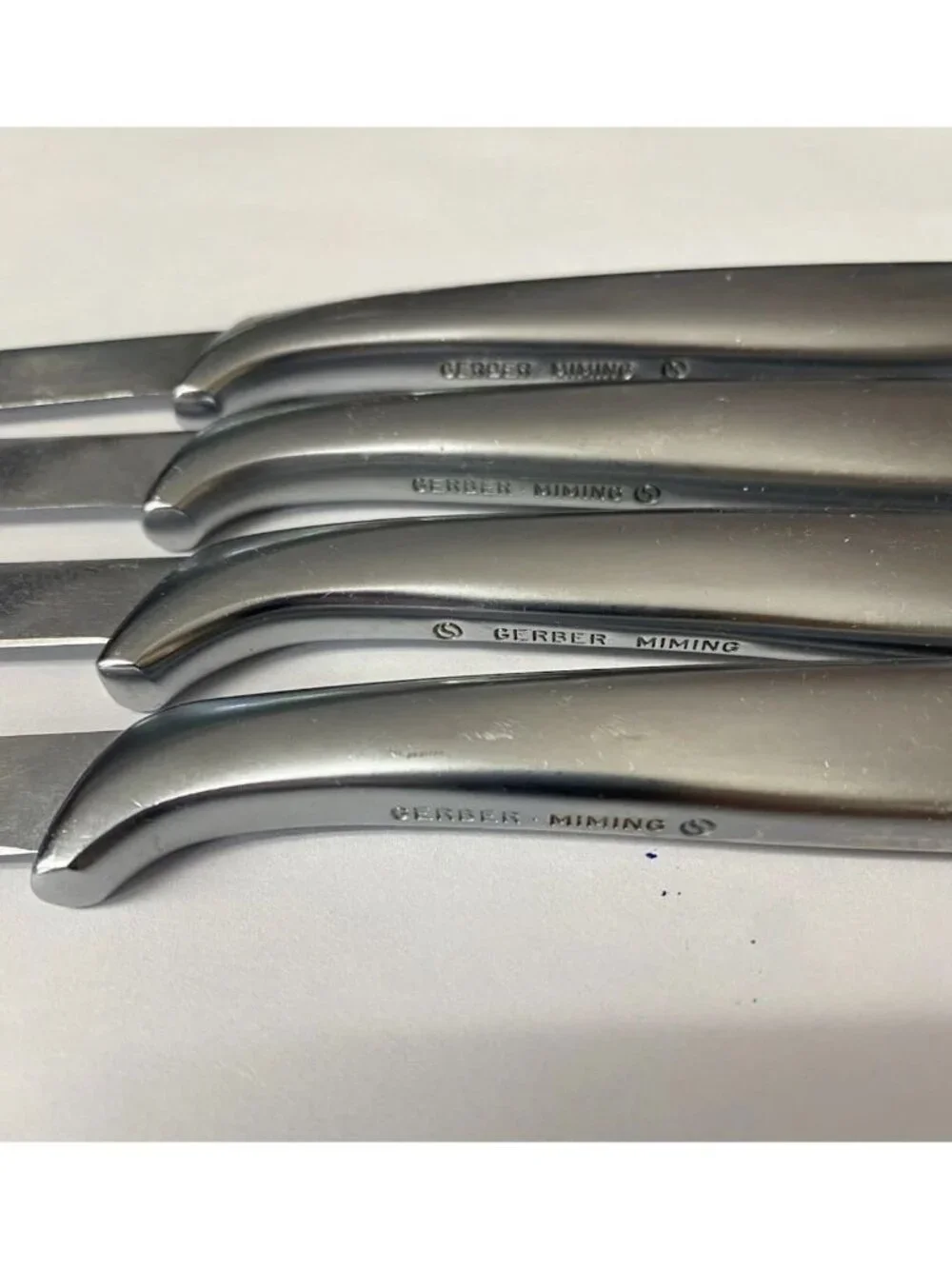 Gerber lot steak