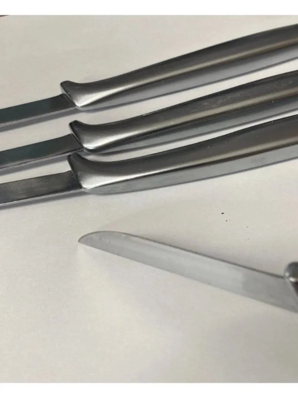 Gerber lot steak