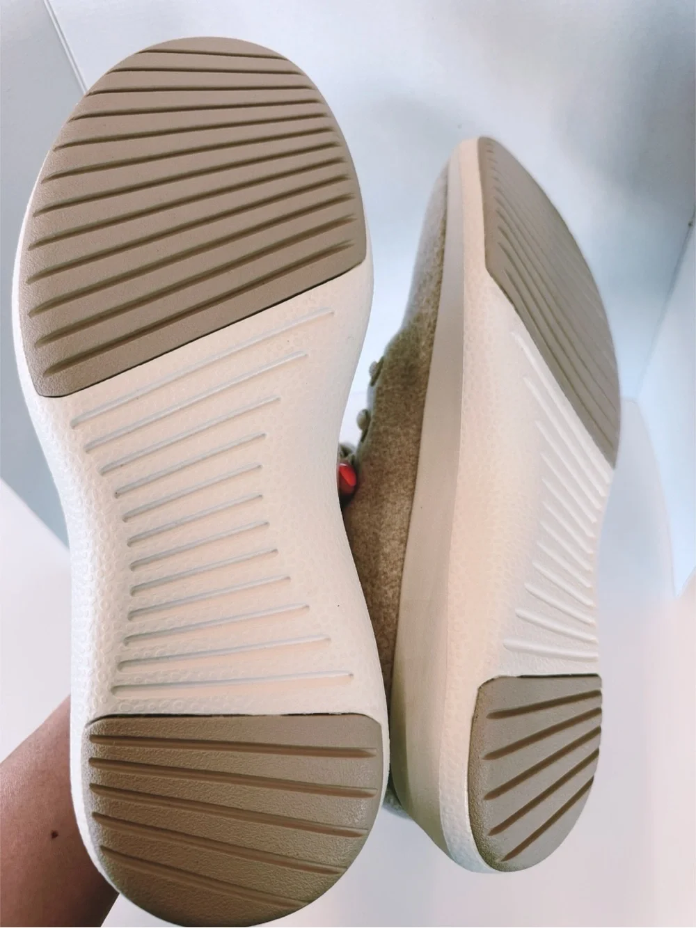 allbirds nwot wool