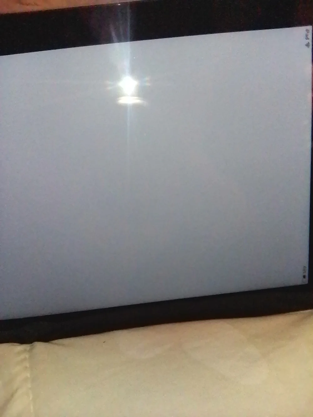 Apple ipad rose