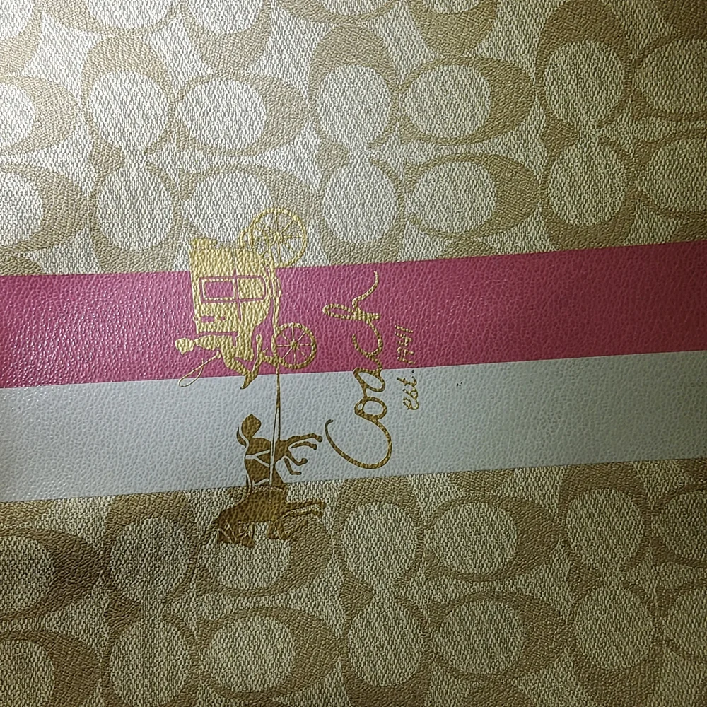 Coach stylish women