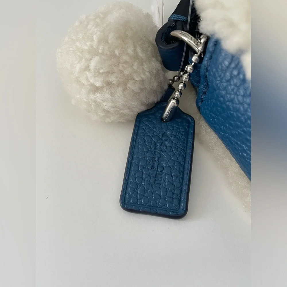Coach crossbody pouch