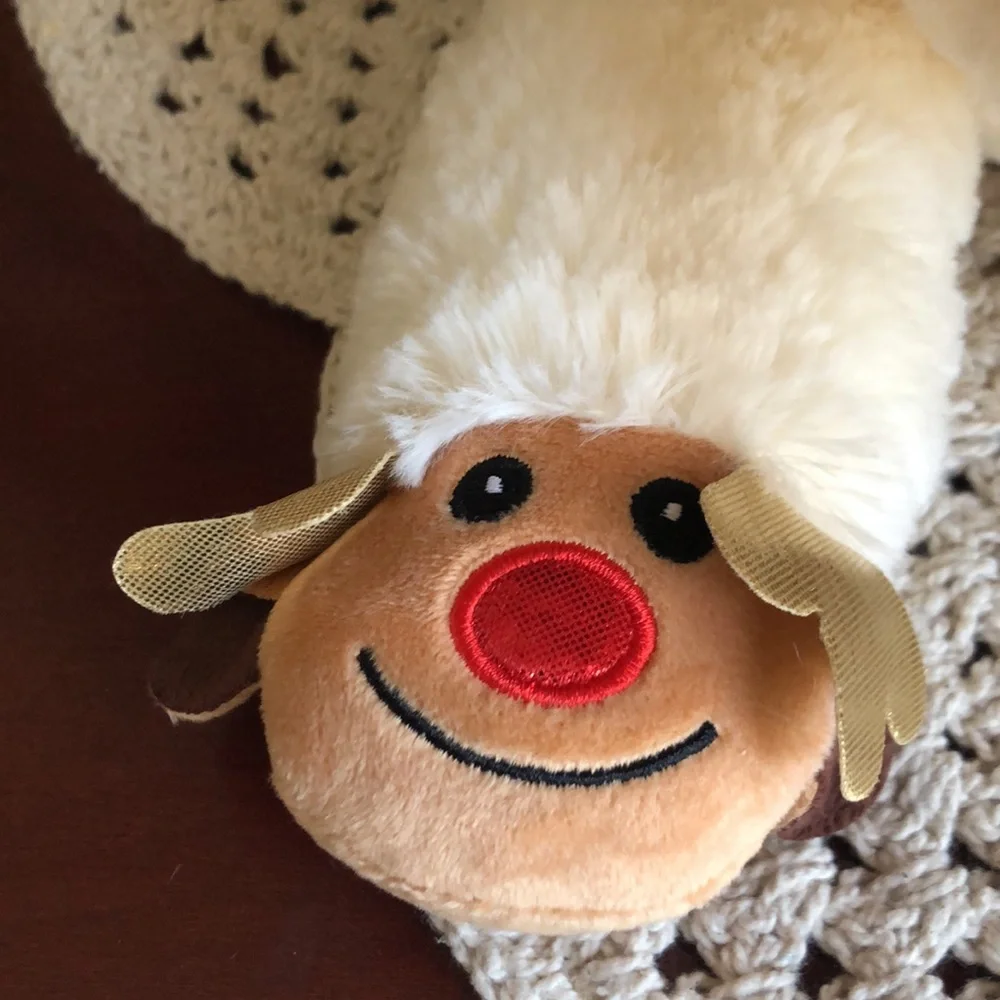 lamb chop brand new