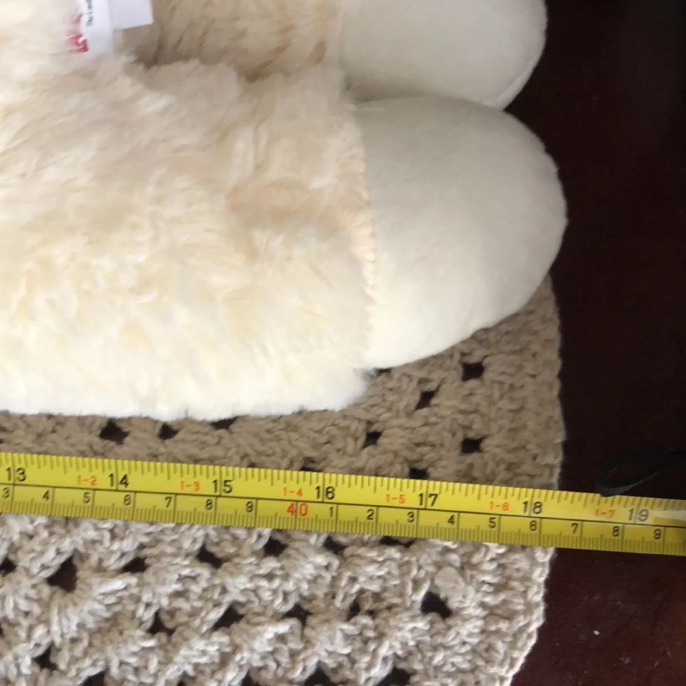 lamb chop brand new