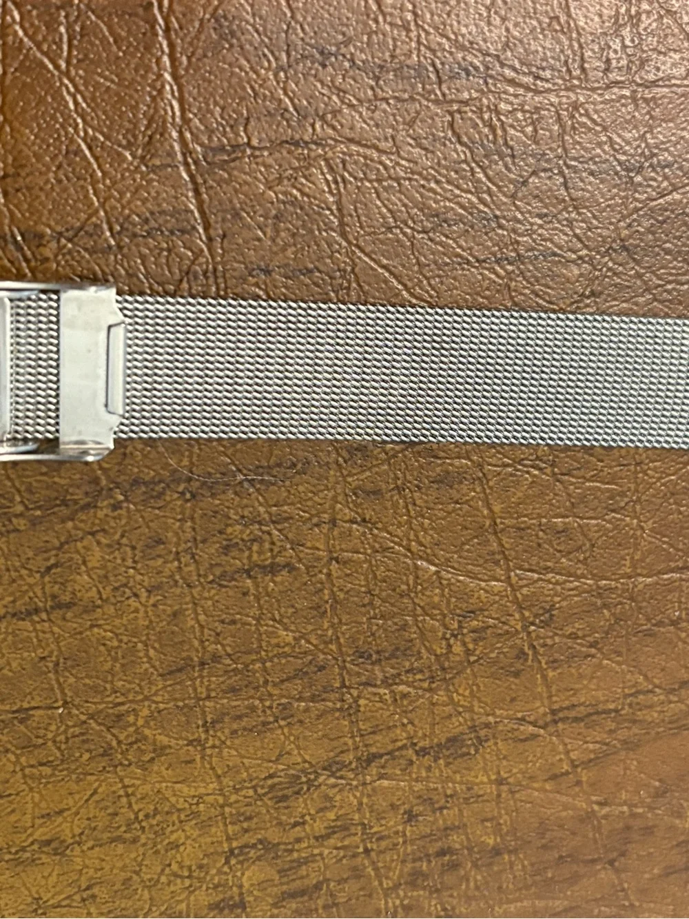 Skagen elegant watch