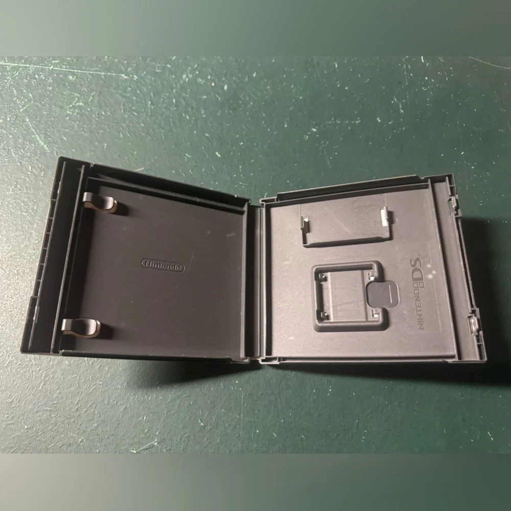 Nintendo ds game