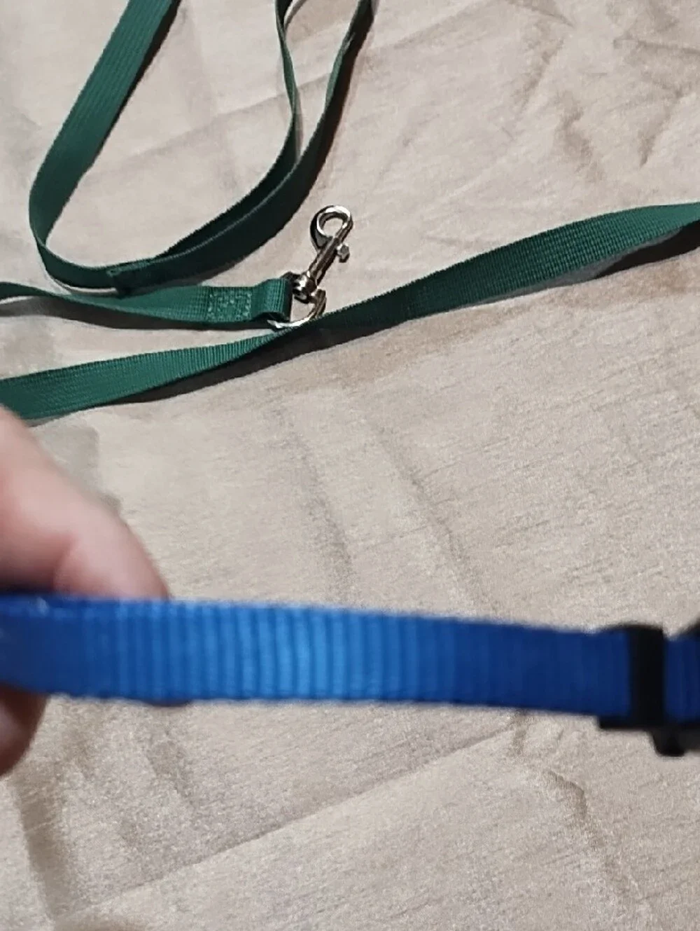 Top Paw adjustable collar