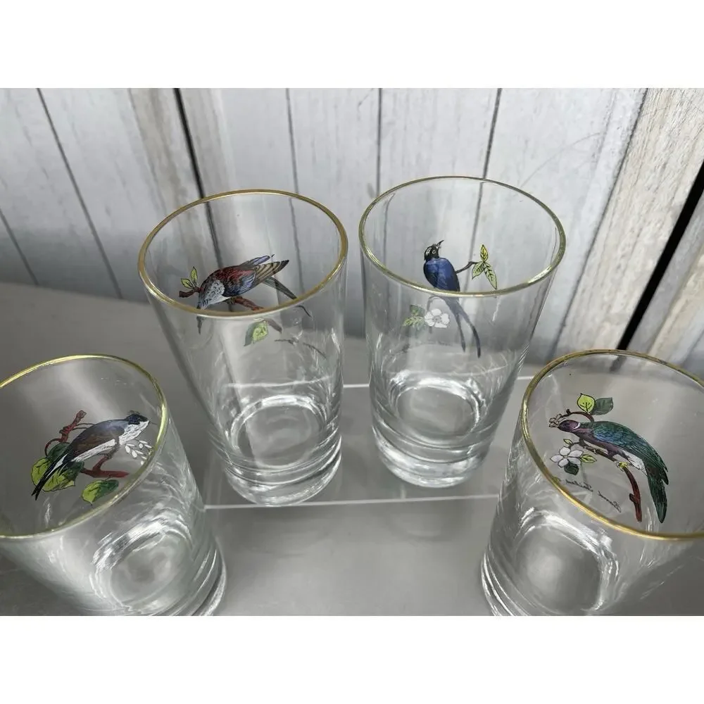 Vintage Set of 4 Hand Painted Bird Tumblers Drinking Glasses