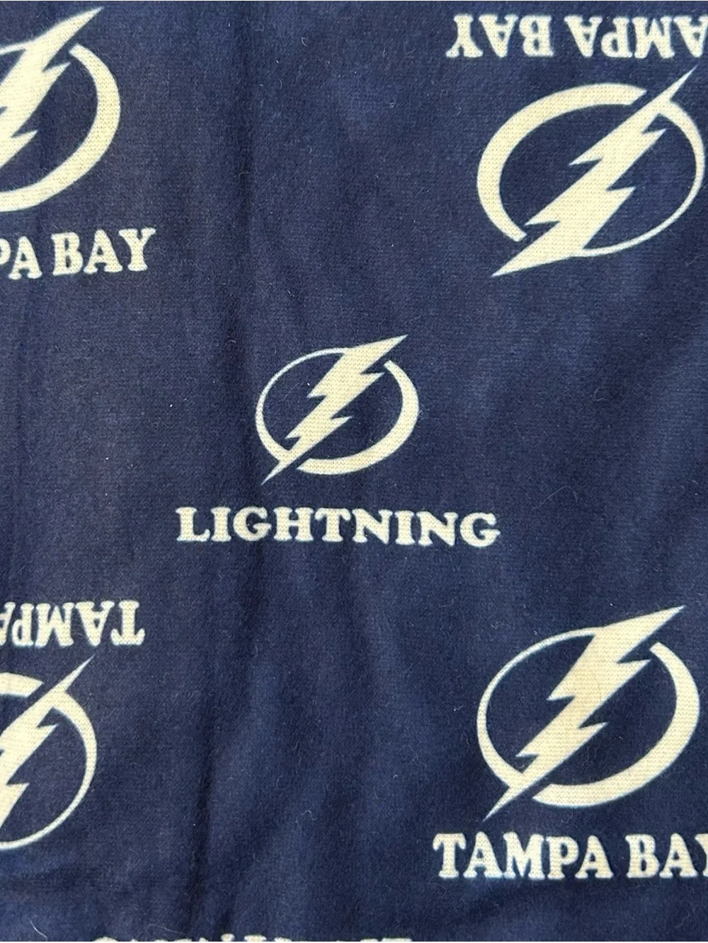 NHL tampa bay
