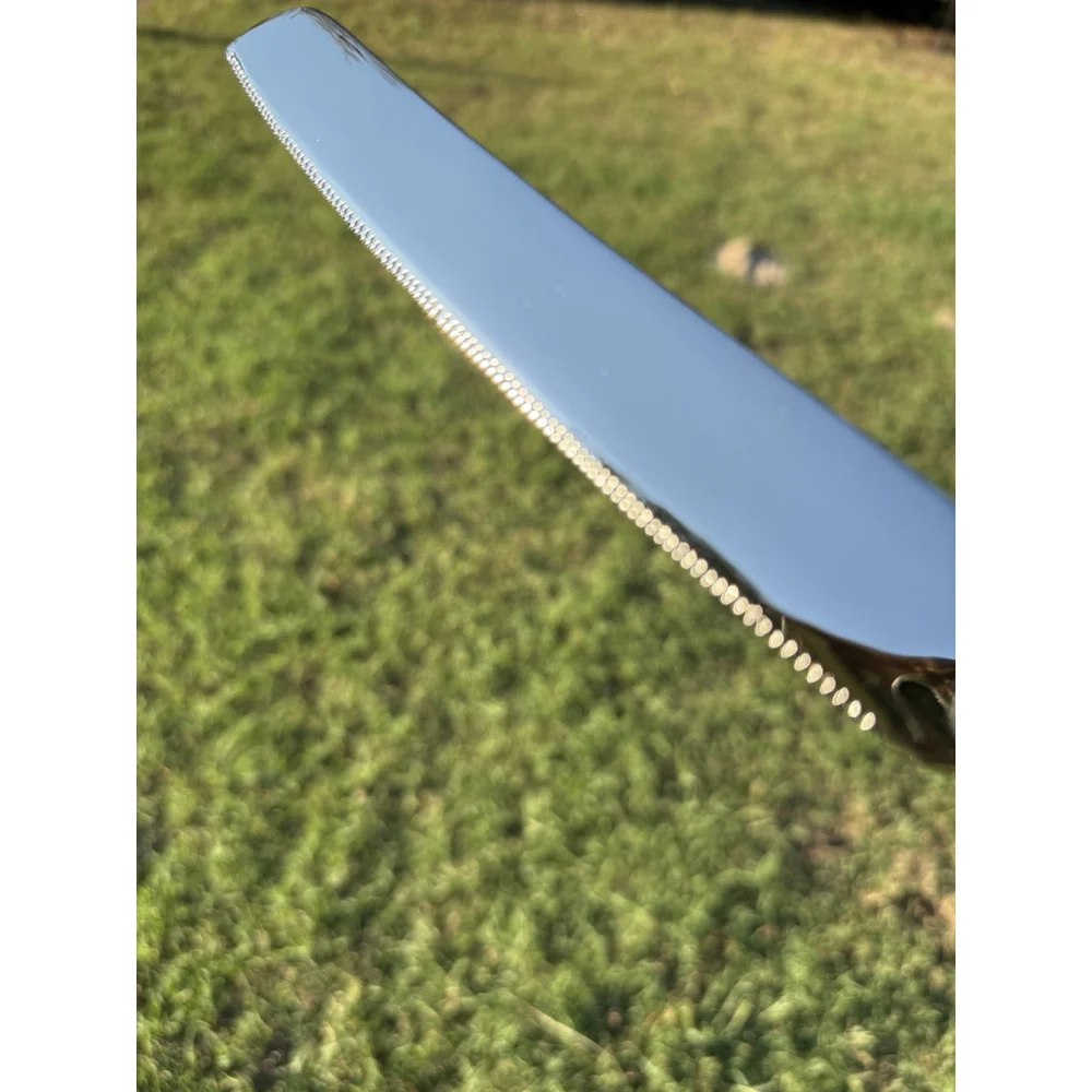 Lenox Heiress Cake Knife - Floral Scroll, Frosted Handle, Wedding, Serving Piece