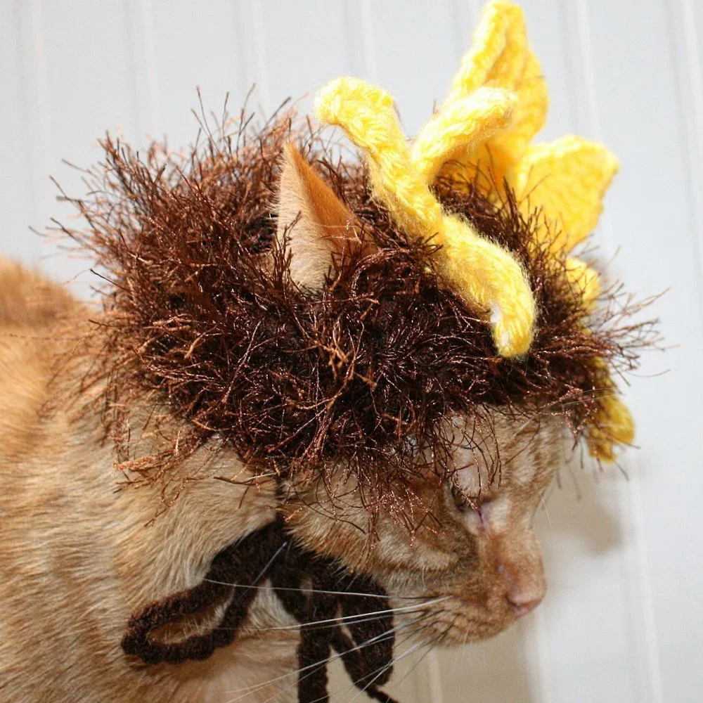 Hand Crafted get inches cat