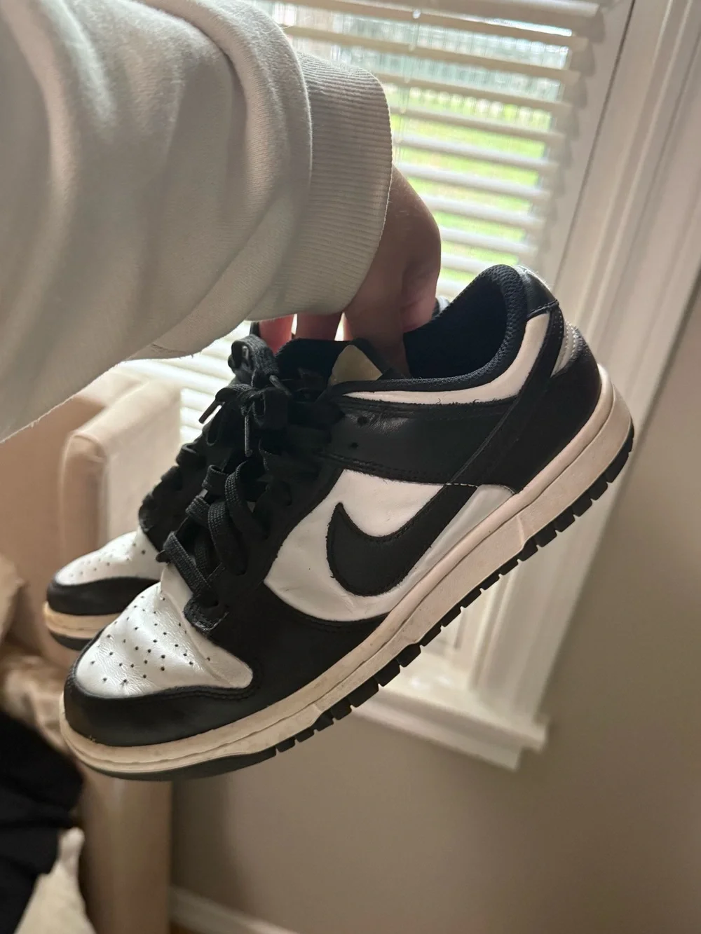 Nike iconic low