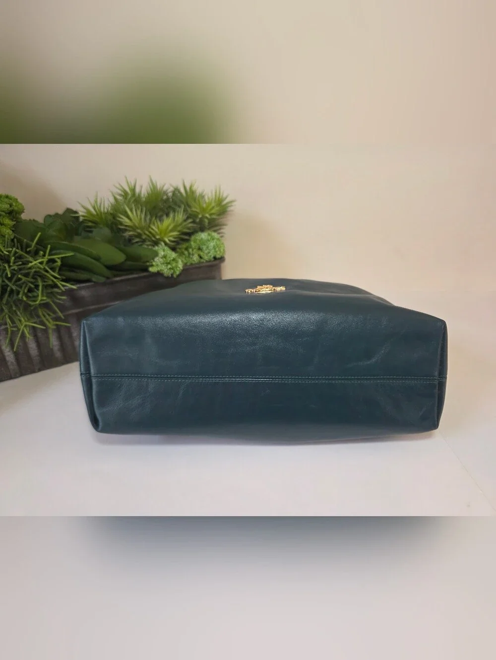 Coach evelyn shoulder