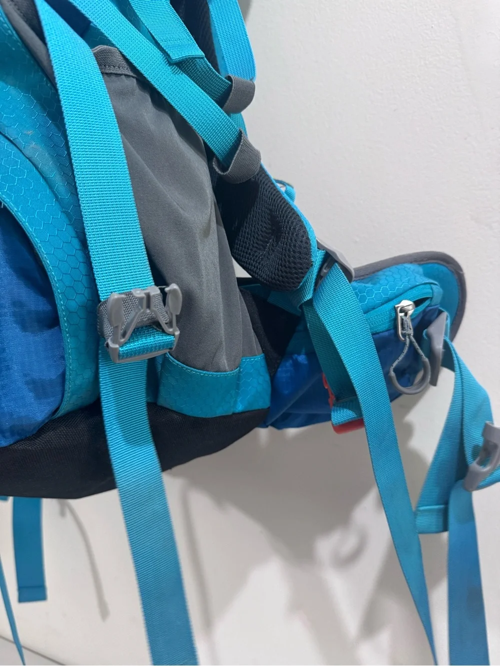 Waynorth durable teal