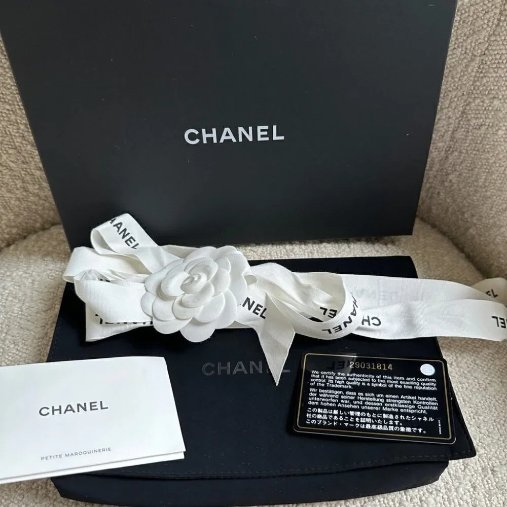 Chanel Barbie Pink Wallet on Chain WOC