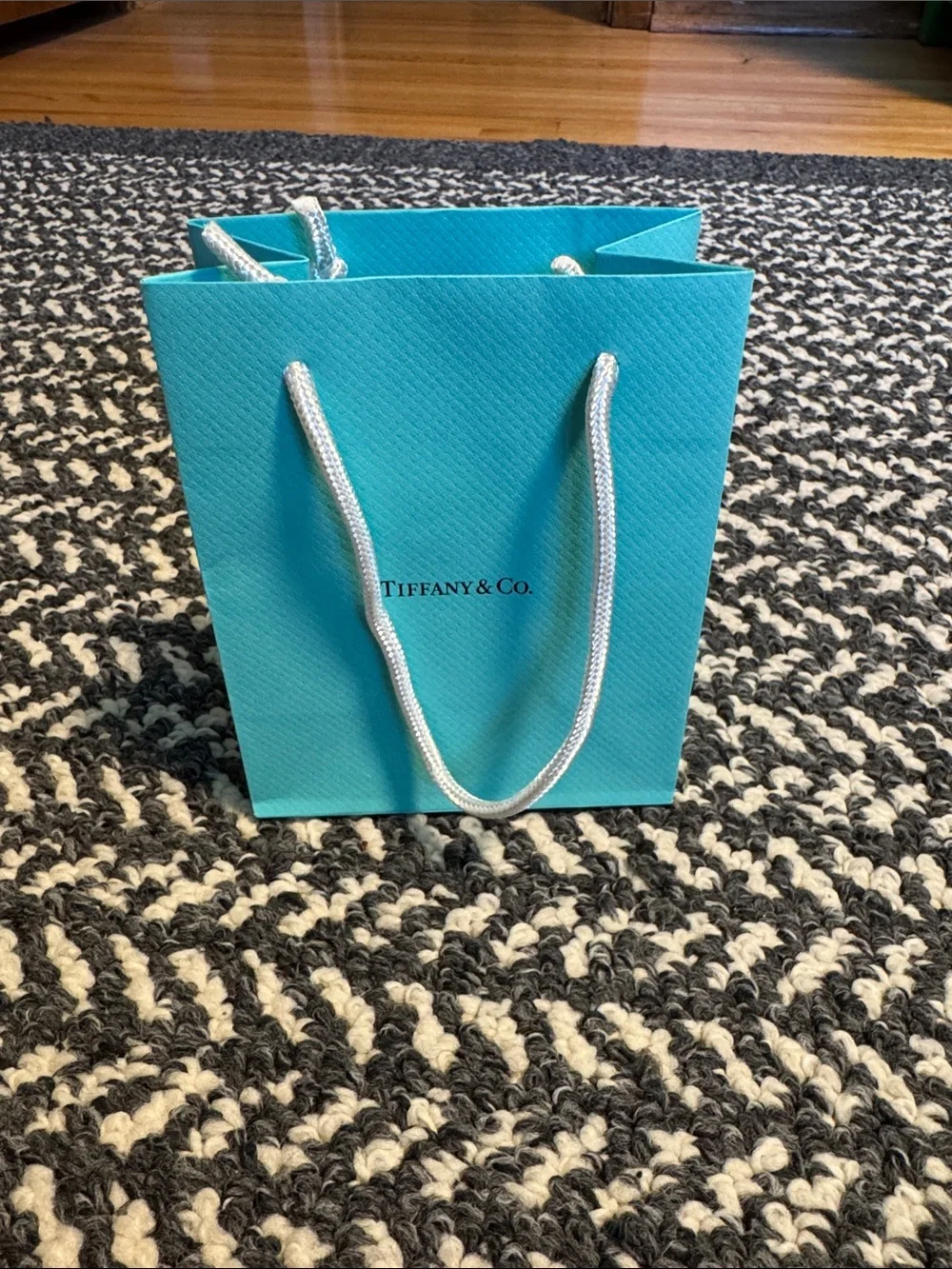 Tiffany & Co. Robin's Egg Blue Gift Bag with White Rope Handles