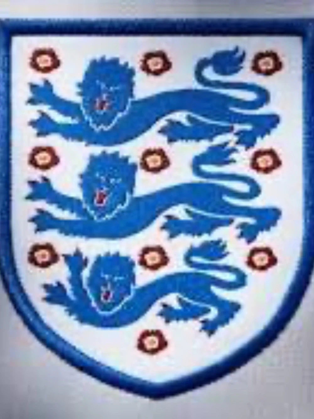 Royal Mint world cup