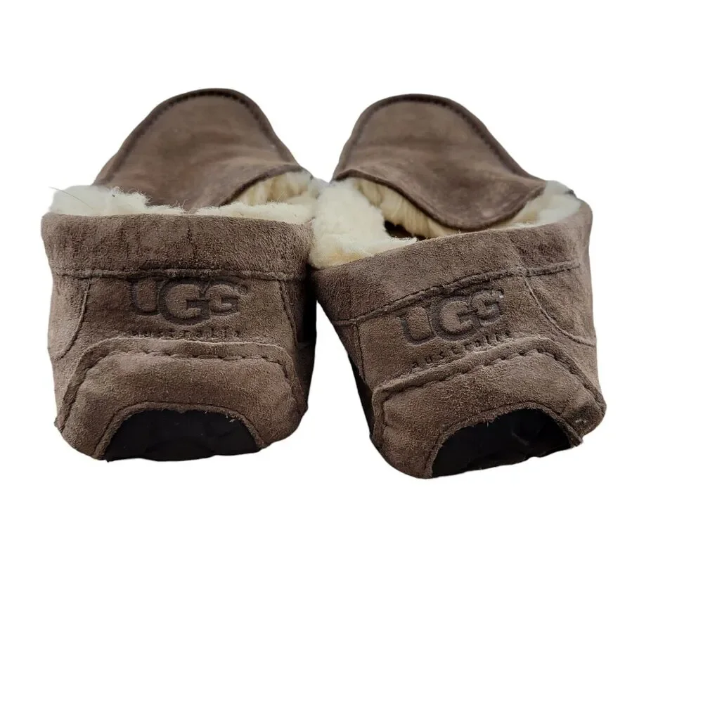 UGG australia ascot
