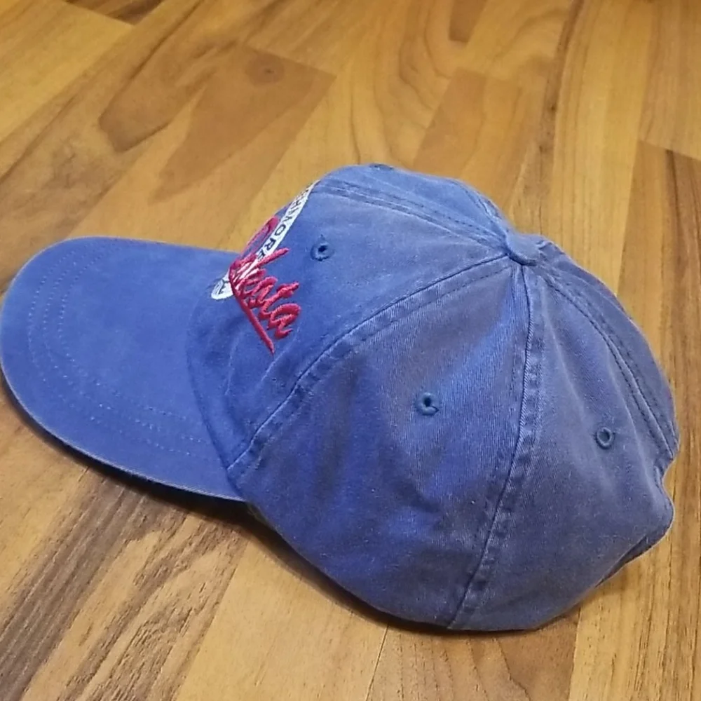 Falcon blue back