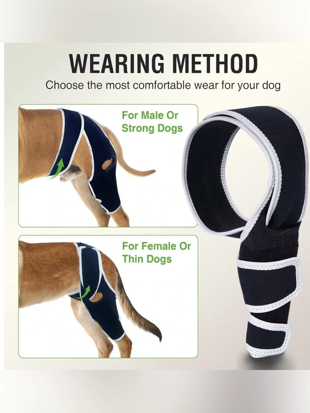 Kisfly dog knee