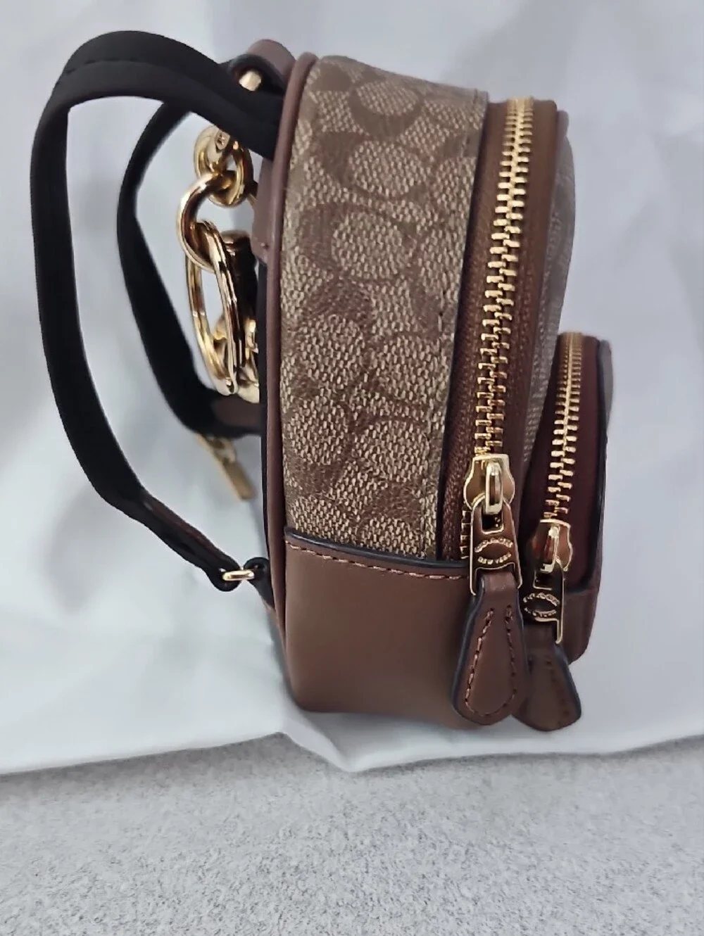 Coach signature print