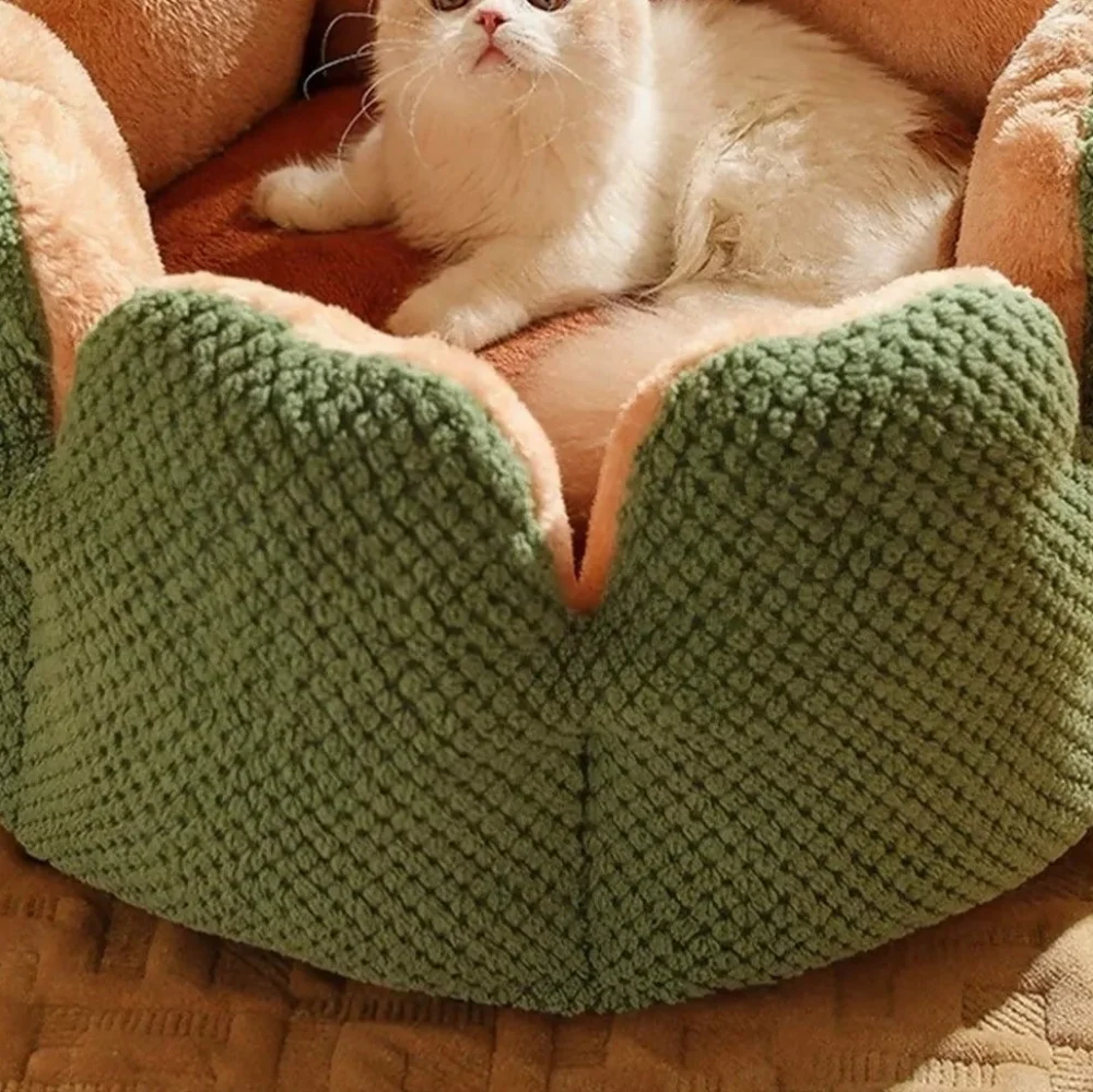 N/A fuzzy raised