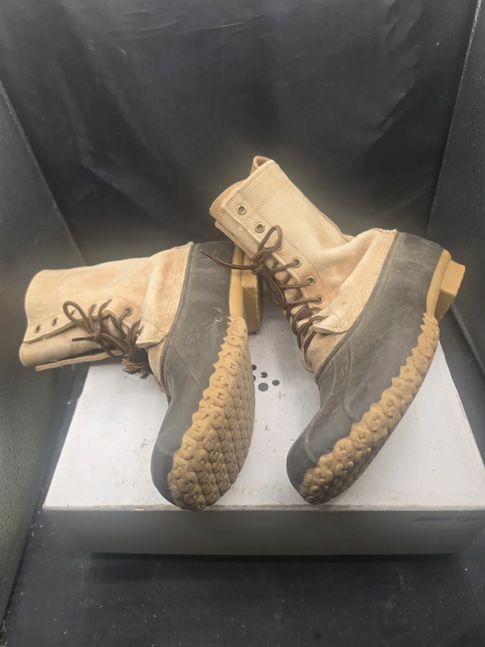 L.L. Bean classic bean