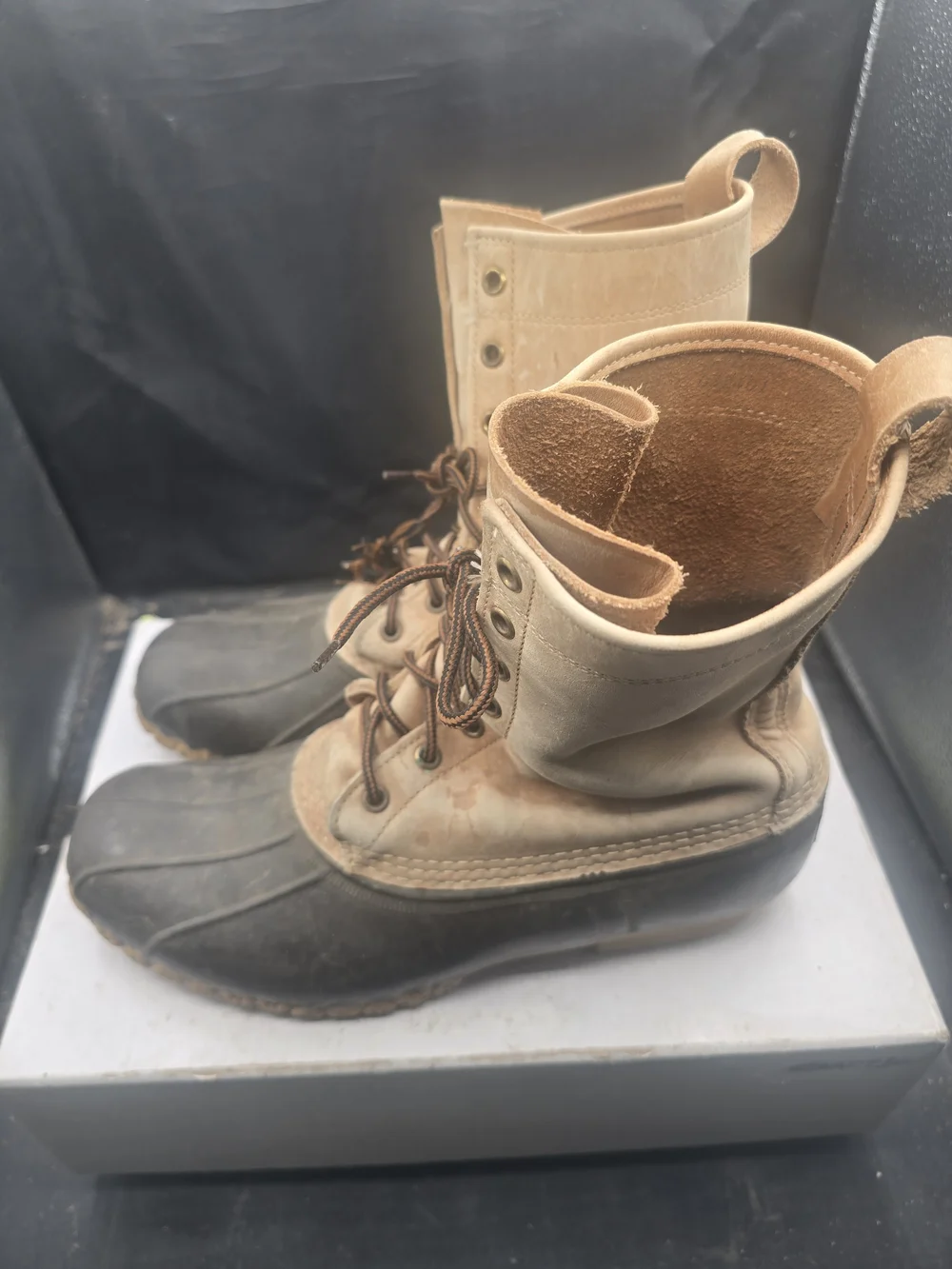 L.L. Bean classic bean