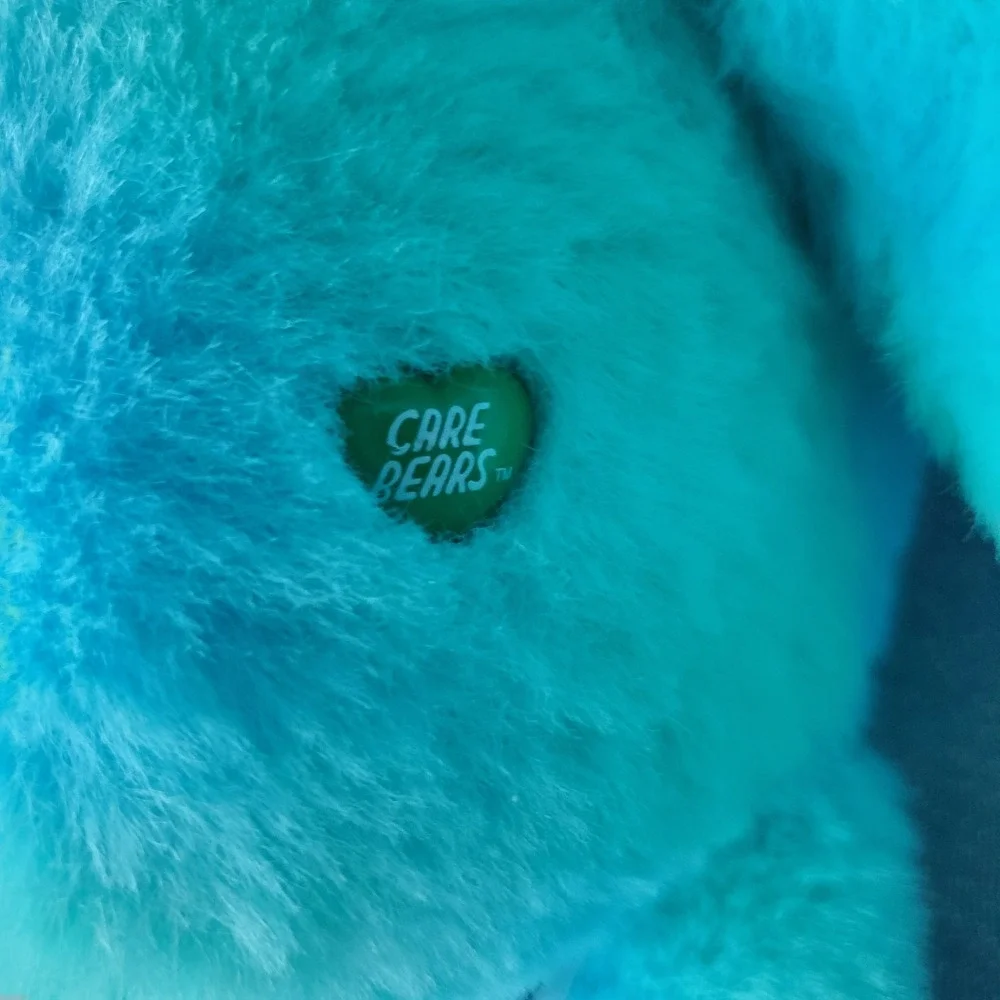 Care Bears plush aqua