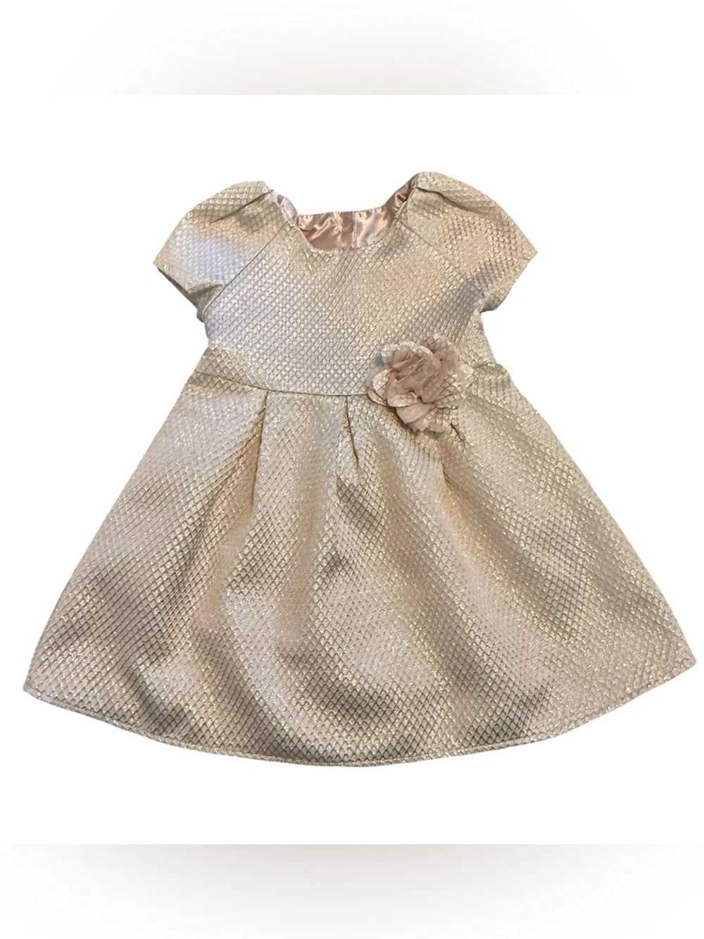 The Children's Place Girls 4T Pink Dress Gold Shimmer Rose Party Dress