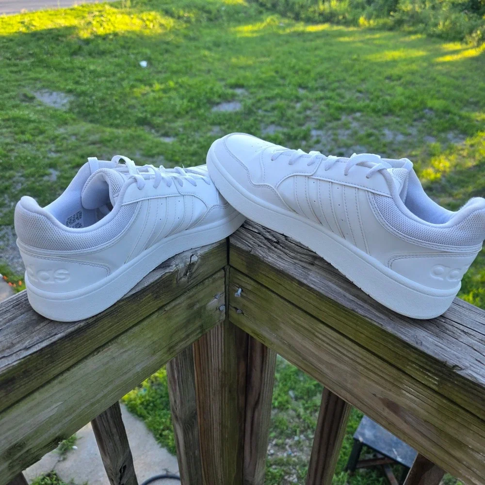adidas hoops low