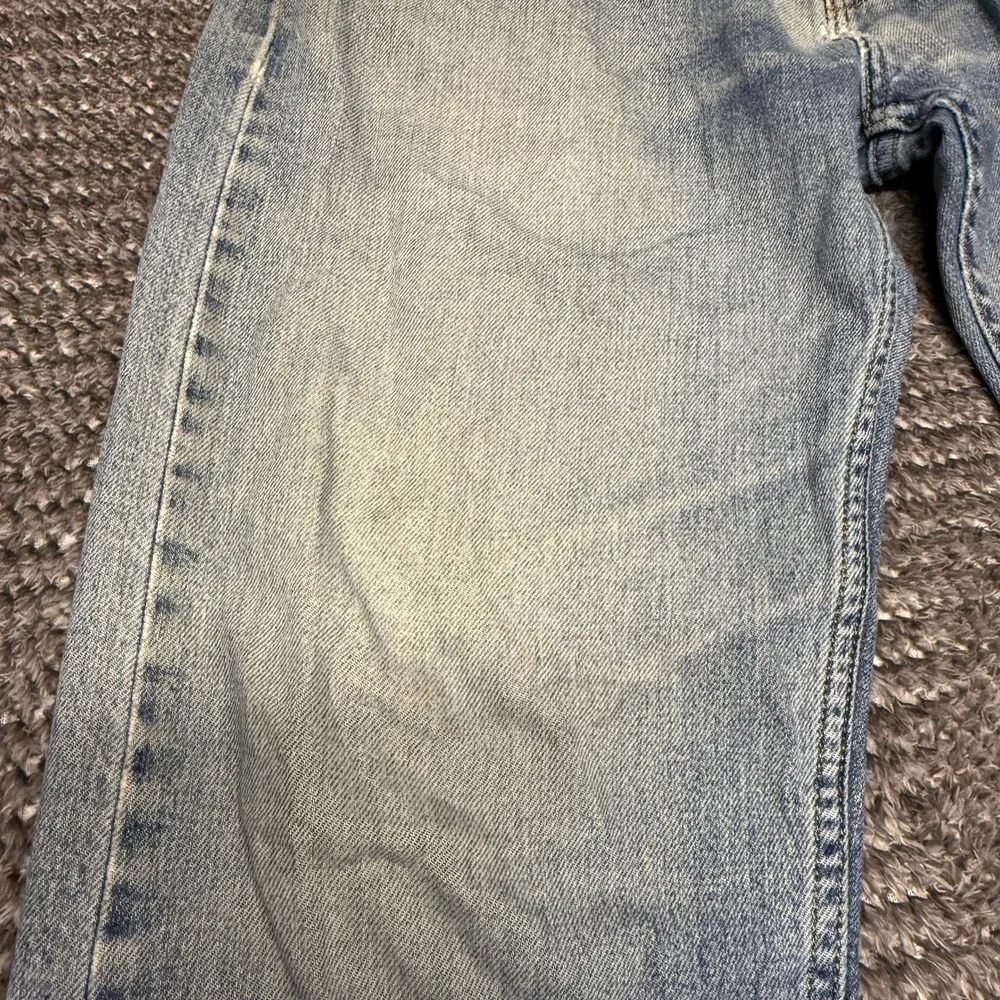 Levis levis mens