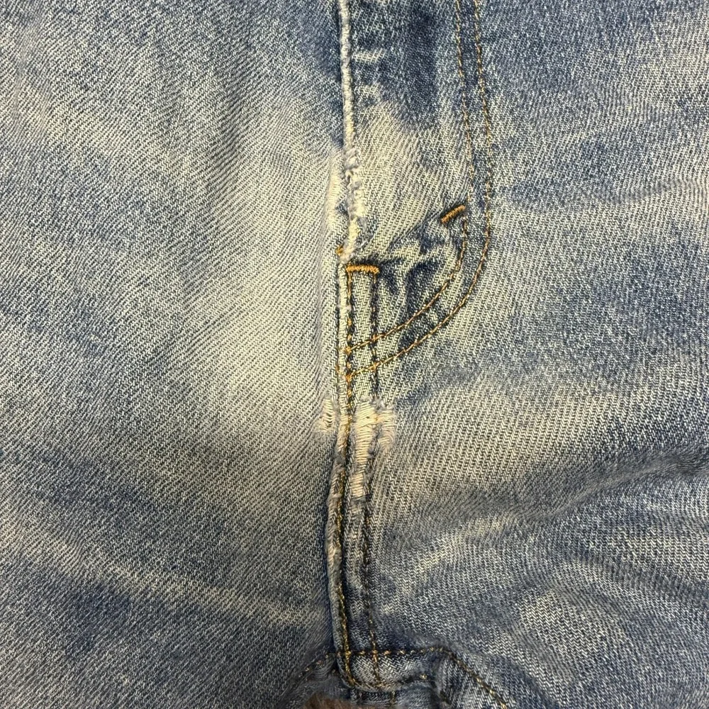 Levis levis mens