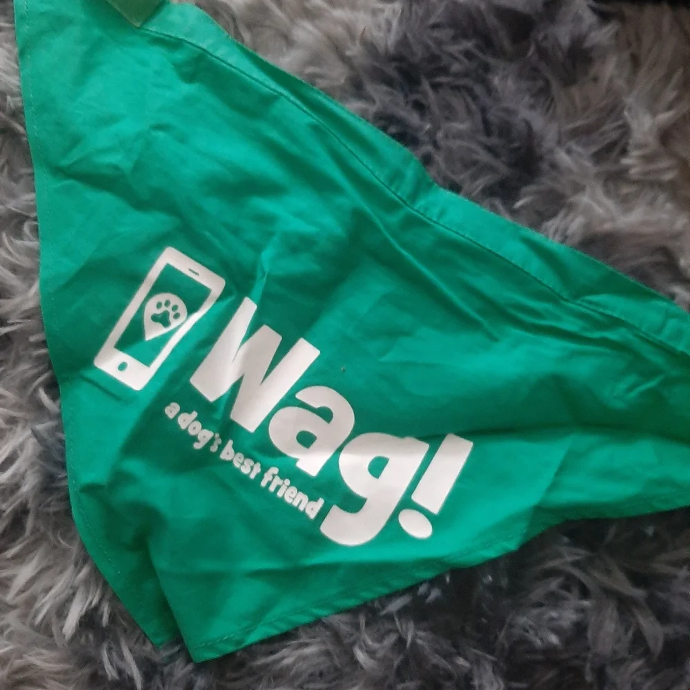 Wag dog scarf