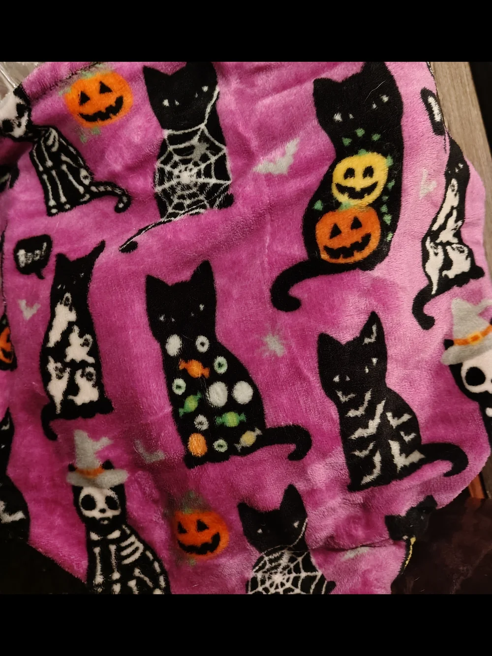 celebrate the cats spooky soft