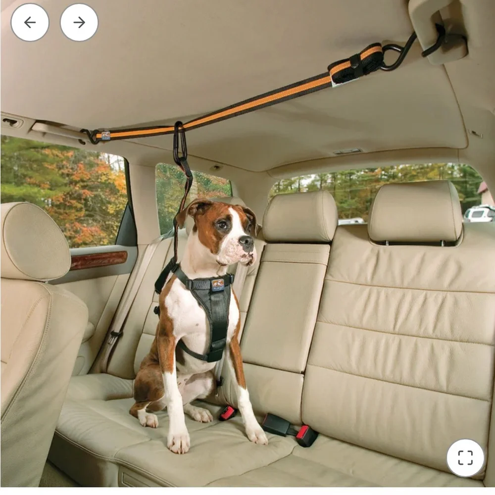 Kurgo keep car