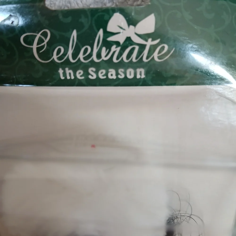 celebrate the season transform your