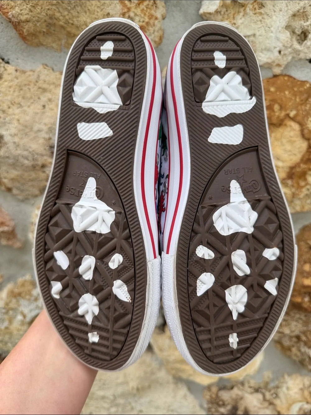 Converse dinoverse high