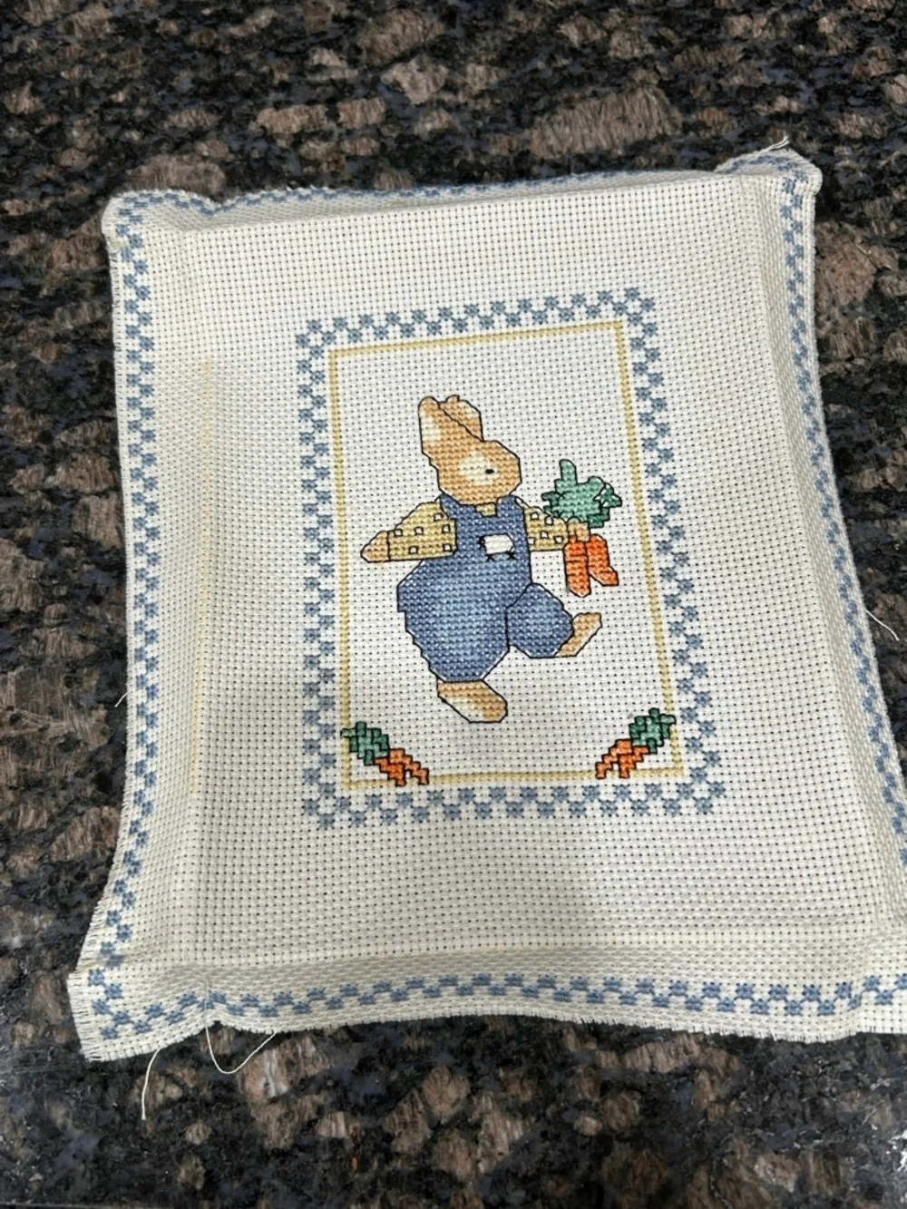Bucilla Daisy Kingdom counted cross stitch kit titled 
