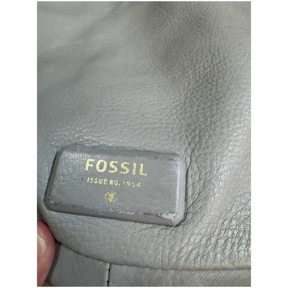 Fossil there are