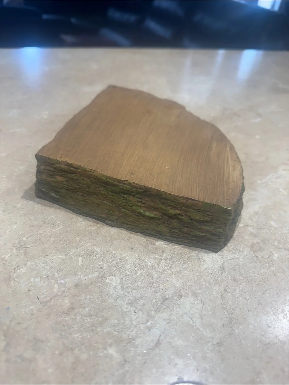N/A reptile dish