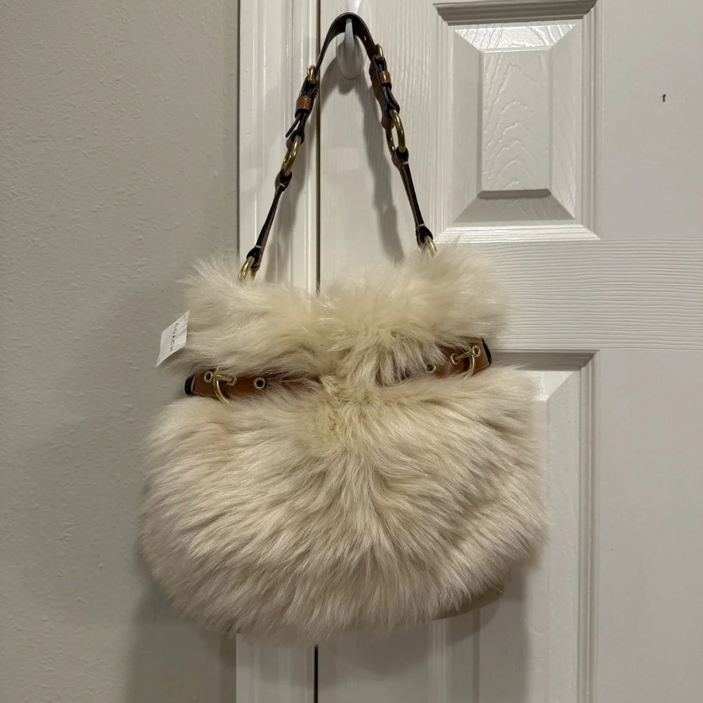 Coach rare lambs
